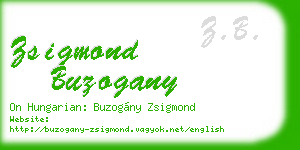 zsigmond buzogany business card